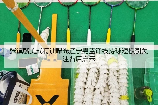 张镇麟美式特训曝光辽宁男篮锋线持球短板引关注背后启示
