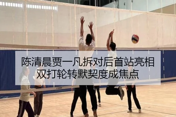 陈清晨贾一凡拆对后首站亮相 双打轮转默契度成焦点